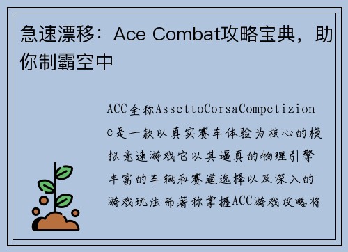 急速漂移：Ace Combat攻略宝典，助你制霸空中