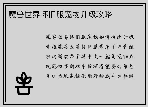 魔兽世界怀旧服宠物升级攻略